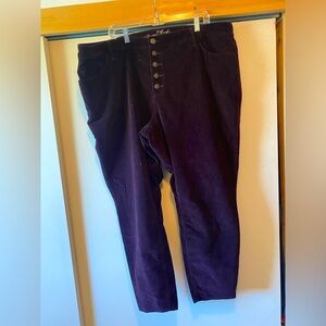 Universal Thread velvet jeans 24w